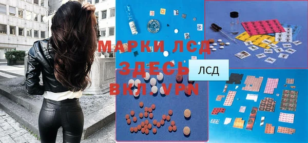индика Покров