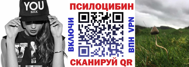 блэк спрут маркетплейс  Кунгур  Псилоцибиновые грибы MAGIC MUSHROOMS  купить  цена 
